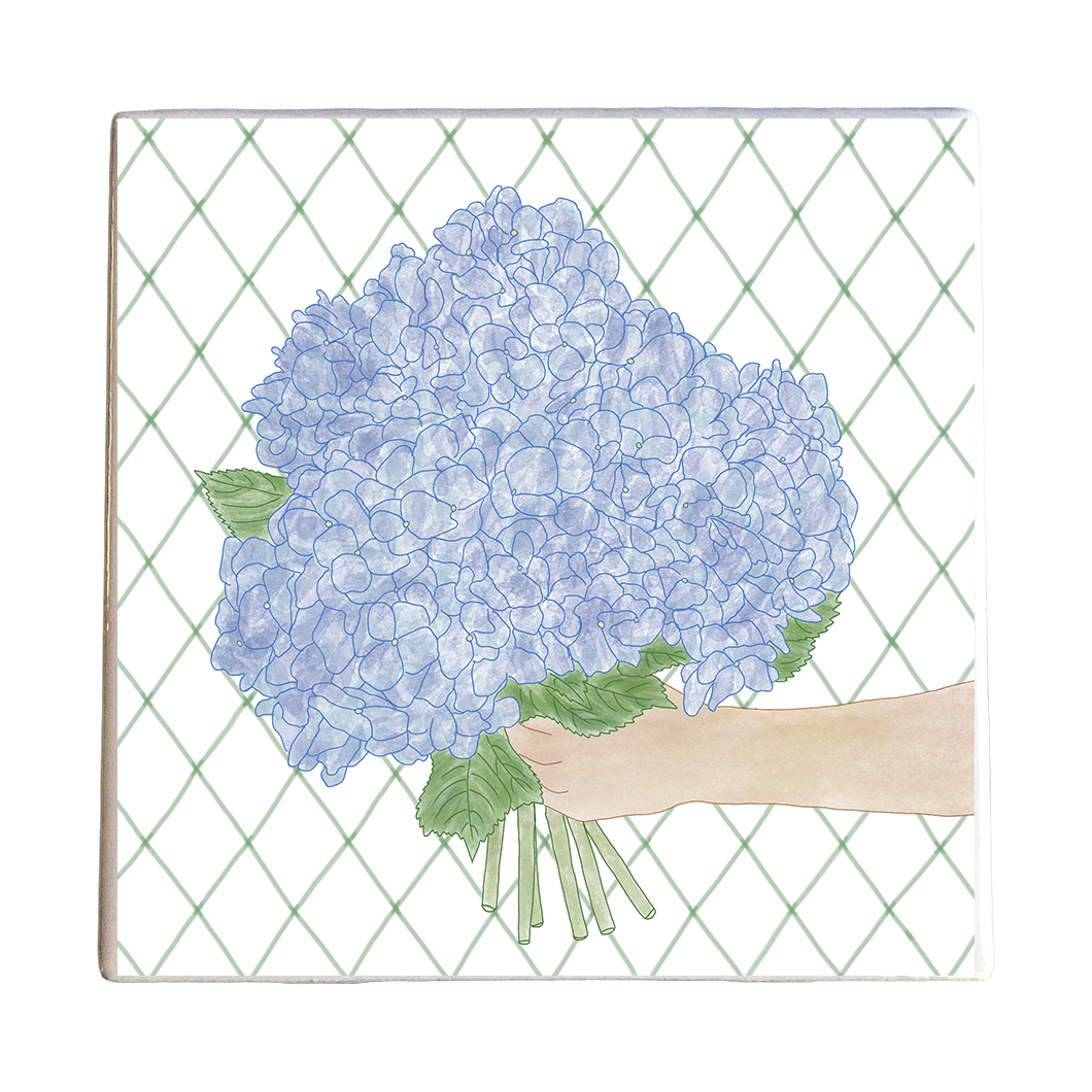 Hydrangea Hello