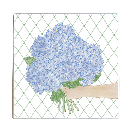 Hydrangea Hello